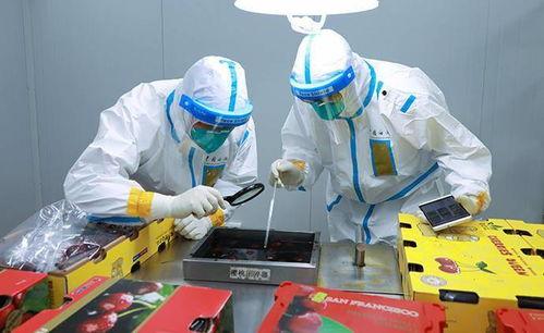 国产海关检疫视频