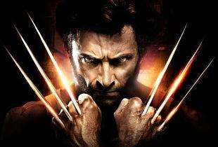 国产特效金刚狼视频大全,硬核英雄集结，震撼视听盛宴