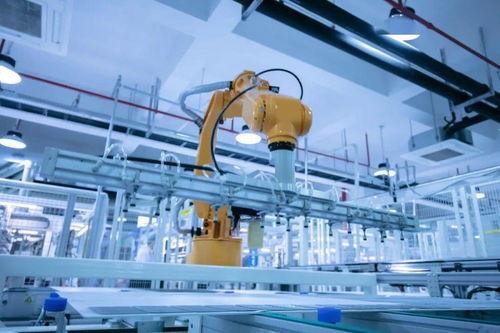 国产机器视频大全集