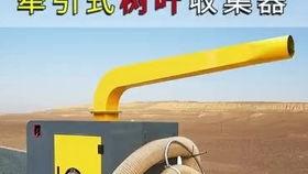 国产吸叶机视频,高效清洁新利器，视频揭秘其卓越性能
