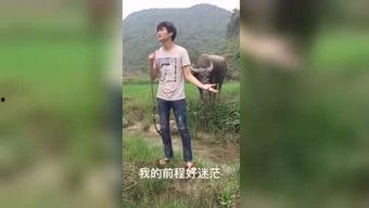 午夜福利视频国产,揭秘国产影视作品的魅力与影响力