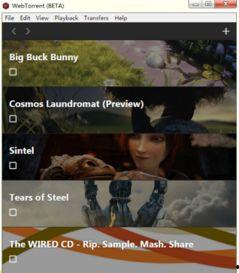 国产小视频torrent微盘