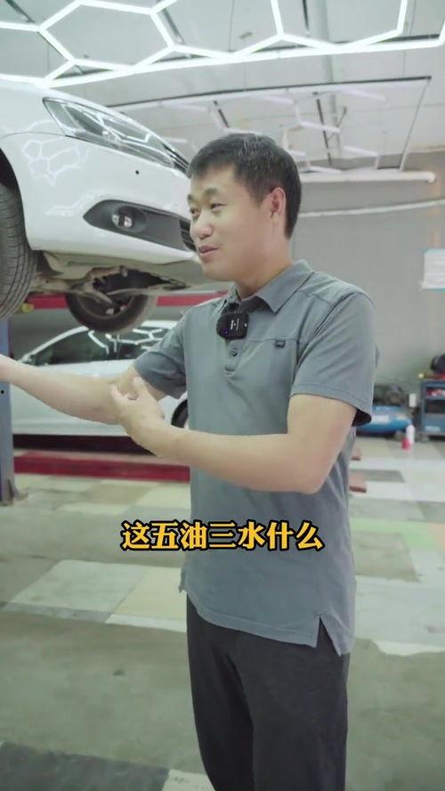 国产车滤芯更换视频,轻松掌握保养技能