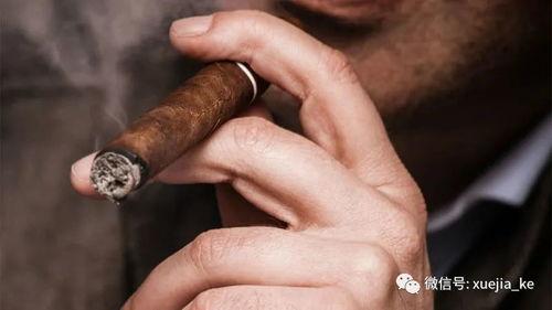 国产雪茄拼装视频教程图解,图解步骤解析