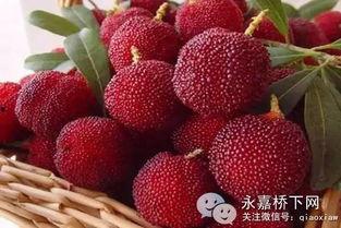 杨梅视频国产,国产短视频平台的崛起与影响